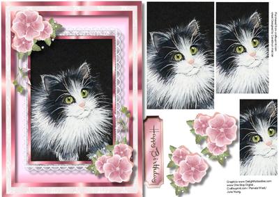 Beautiful Cat in a Square Lace Frame , Pyramid