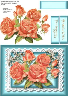 Beautiful Pink Roses and Baby's Breath