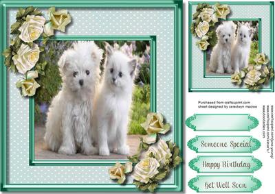 Beautiful Forever Friends, Green 