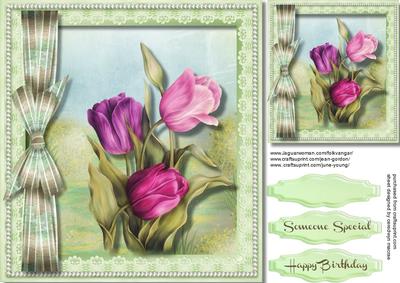 Beautiful Spring Tulips in a Pearl Frame 
