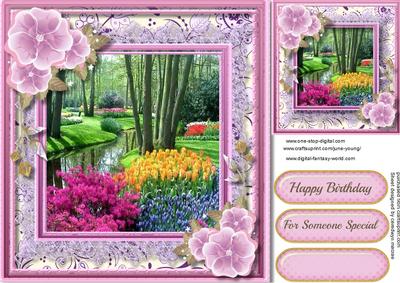 Beautiful Flower Garden in Lace Frame 