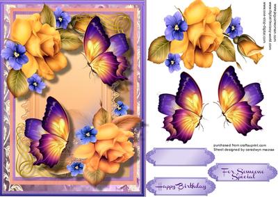 Lovely Apricot Roses and Butterfly's 