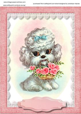 Beautiful Pooch with a Basket of Flowers 