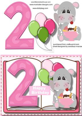 Girl ,2nd Birthday Card Book 