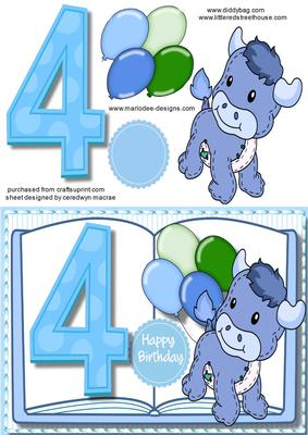 4th Birthday Boy, Book Card 