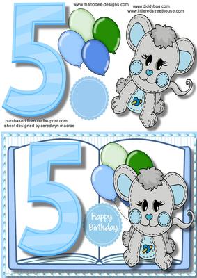5th Birthday Boy , Book Card 