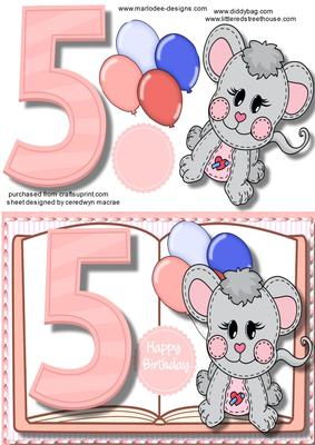 5th Birthday Girl, Book Card