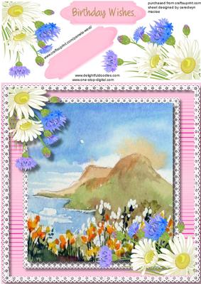 Lovely Daisy's , Corflowers and Coastal Scene 