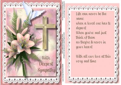 Sympathy, Topper and Incert in Pink 