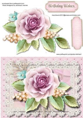 Beautiful Tiffany Rose on Stunning Lace 