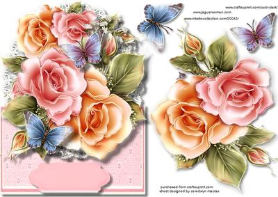 Over the Edge Beautiful Pink Roses and Butterfly's