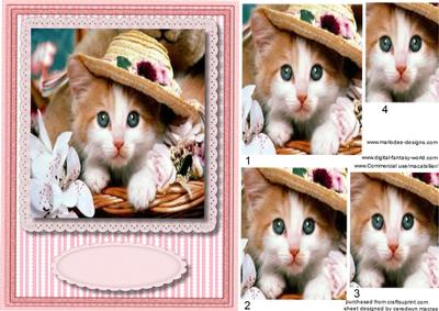 Little Kitty in Her Sunday Bonnet