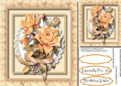 Beautiful Roses in a Buff Frame 