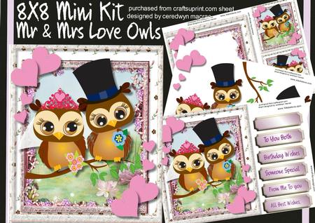 8x8 Mini Kit, Mr & Mrs Love Owls