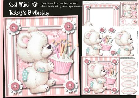 8x8 Mini Kit Teddy's Birthday Pink .