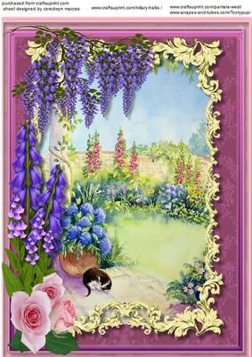 Beautiful Roses,wisteria and Foxgloves