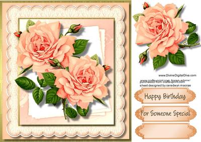 Stunning Apricot Roses 