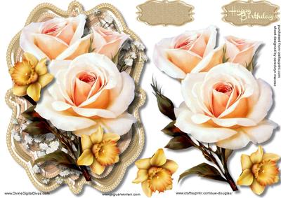 Beautiful Cream Roses with Daffodils