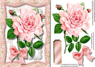 Lovely Pink Rose on a Scalloped Pearl Frame 