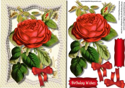 Beautifuk Red Rose in a Pearl Frame 