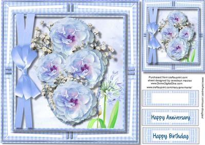 Beautiful Blue Ginghame Frame and Roses