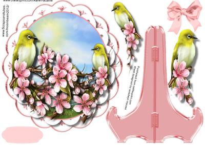 Beautiful Finch Among the Blossom 