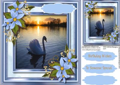 Beautiful Swan on the Lake 