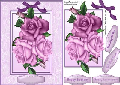 Lovely Lilac Roses