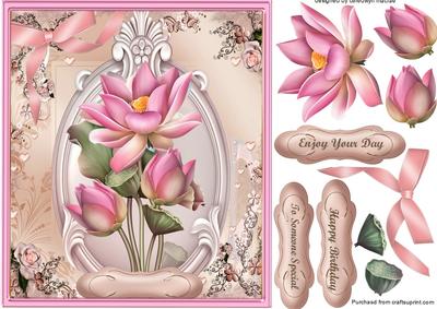 Beautiful Pink Lotus Flowers 