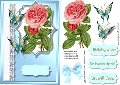 Beautiful Roses on Aqua with Biutterflys 