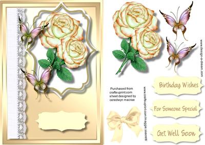 Beautiful Cream Roses and Butterfly's