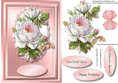 Beautiful White Roses on a Pink Lace Mat 