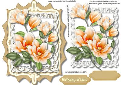 Lovely Orange Magnolias in a Ornate Frame 