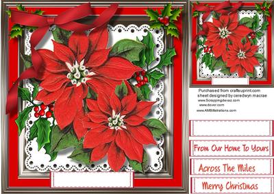 Beautiful Christmas Poinsettias on Lace 