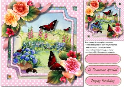 The Beautiful Garden of Butterfly's 