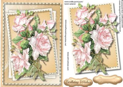 Beautiful French Roses Ina Stitched Frame 