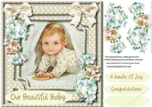 A Sweet Baby in Neutral Colours 