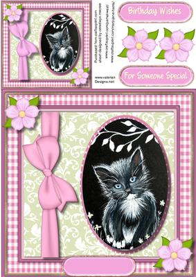 Lovely Monocrome Kitten in a Ginham Frame 