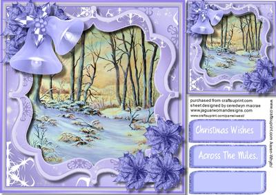 Lovely Christmas Scene with Lilac Poinsettias 