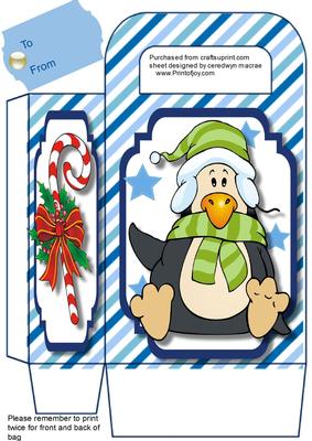 Lovely Gift Bag with a Lovely Penguin