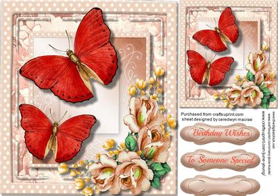 Beautiful Butterfly's on the Wing 