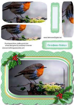 Lovely Christmas Robin in Pyramid 