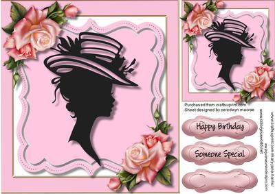 Beautiful Silhouette Lady in a Pink Frame 