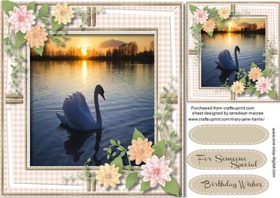 Beautiful Swan Scene with Flowers 