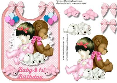 Beautiful Baby Girls 1st Birthday on a Bib 