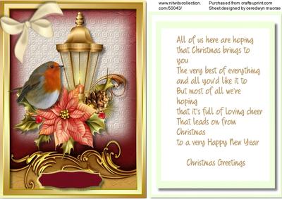 Beautiful Robin on a Christmas Lamp