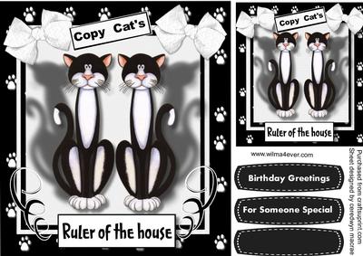 The Ruler's of the House