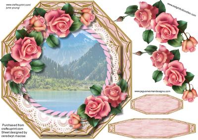 Beautiful Octagonal and Downton Roses 