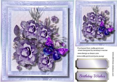 Beautiful Lilac Heaven Flowers 