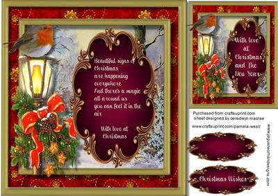 Beautiful Sign's of Christmas 
